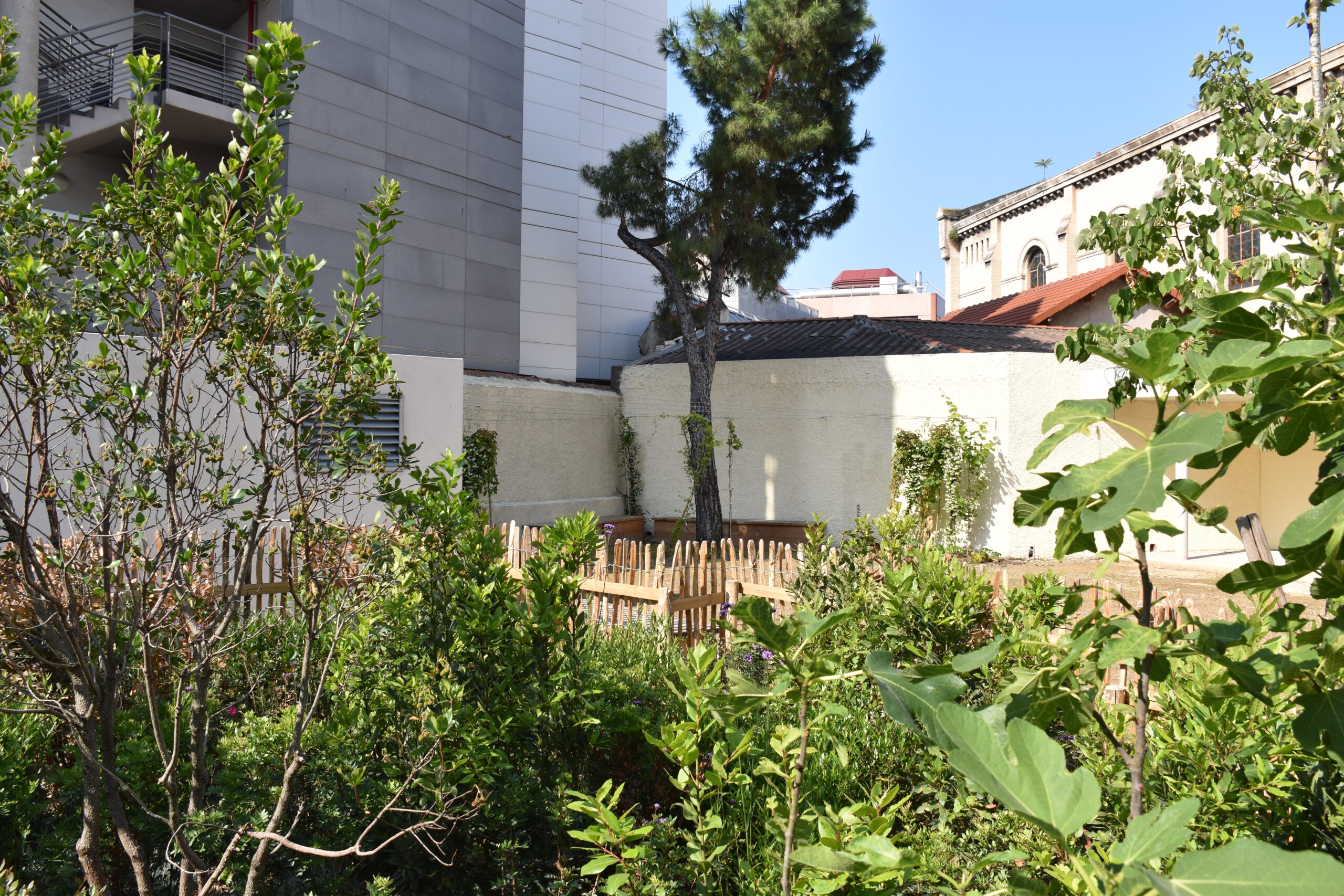 Jardin du Rouet après renaturation