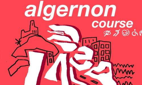 Course Algernon
