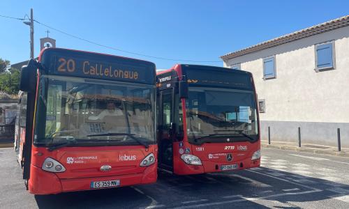 bus 20