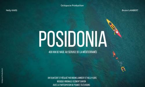 Posidonia