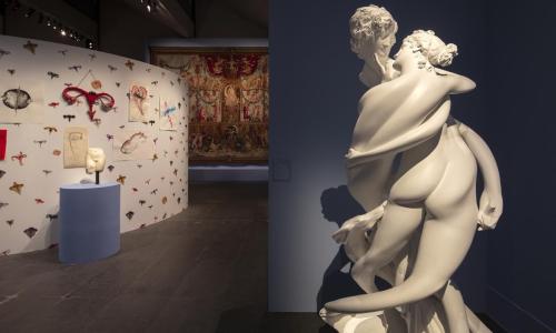passage de Vénus