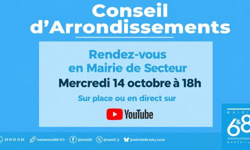 conseil d'arrondissements