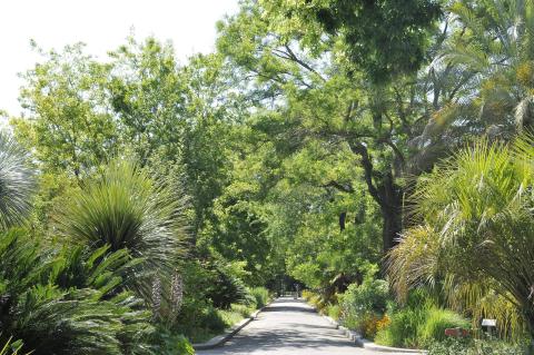 Jardin botanique ville de marseille