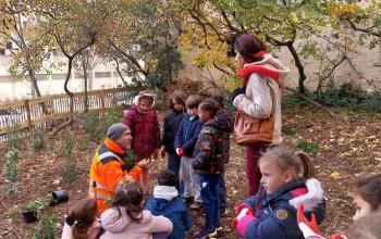 renat parc chabaud10