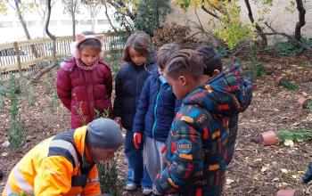 renat parc chabaud9