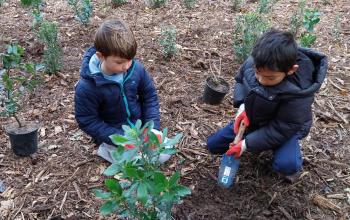 renat parc chabaud8