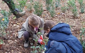 renat parc chabaud5