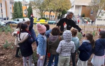 renat parc chabaud3