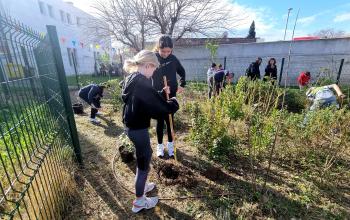 ecole projet