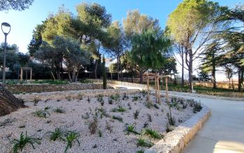 parc des soeurs3