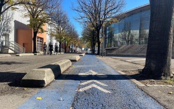 rénovation parc Chanot