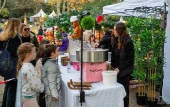 Noël dans le 6&amp;8