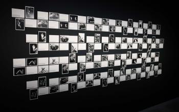 Exposition - Vivre en plusieurs langues