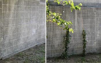 travaux regie