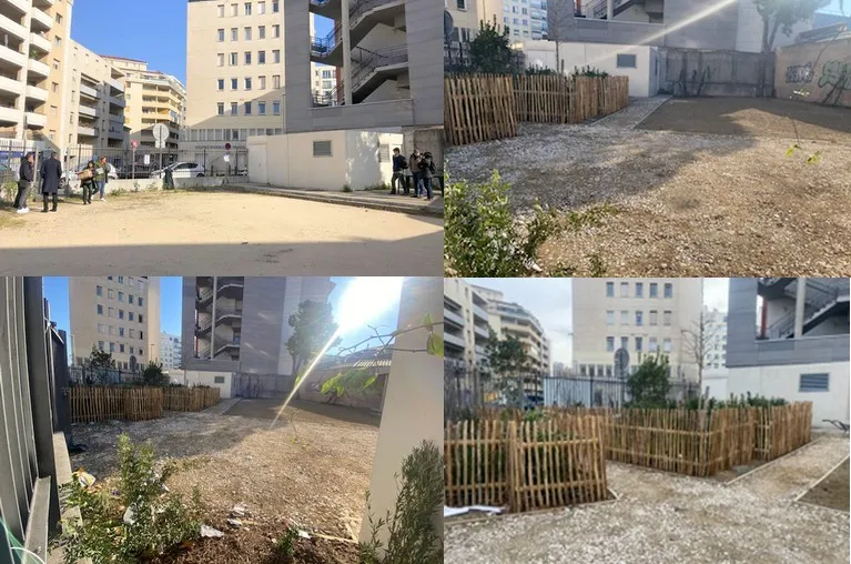 futur jardin du rouet