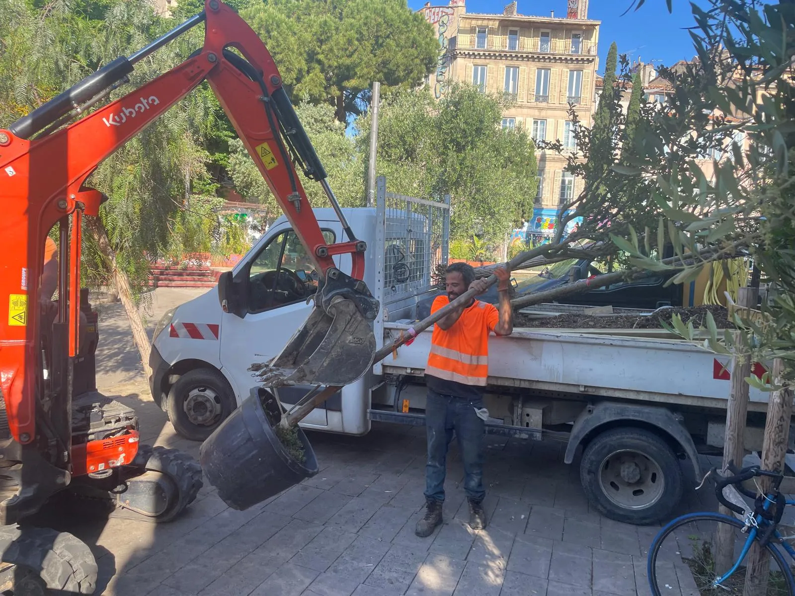 livraison arbres