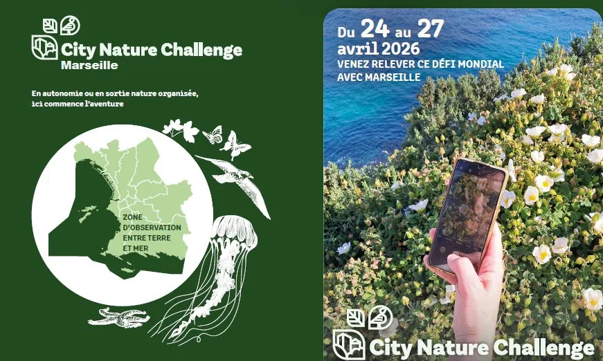 city nature Challenge